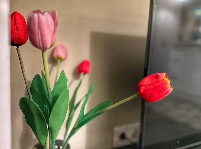 Apartment Uni Time By Lmg *